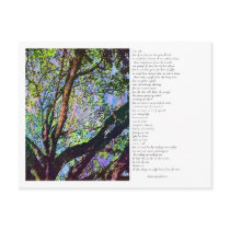 From the Trees Postcards