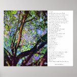 From the Trees Posters