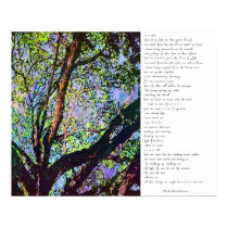 From the Trees posters
