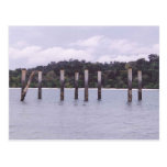 From The Water Post Card