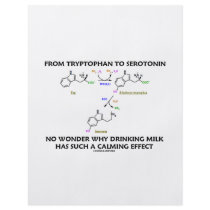 From Tryptophan To Serotonin (Chemistry Humor) Custom Flyer