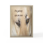From your Secret Pal Greeting Card