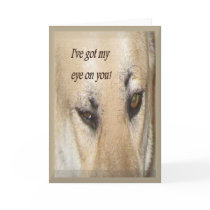 From your Secret Pal Greeting Card
