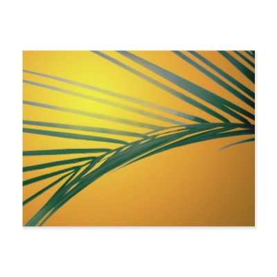 Frond at sunset post card by roimim