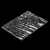 Frond notebooks