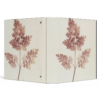 Fronds of Leaves, 1843 (b/w photo)