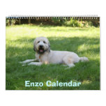Front Cover, Enzo Calendar