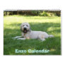 Front Cover, Enzo Calendar