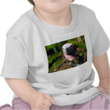 Front Facing Turkey Vulture Closeup Tshirts