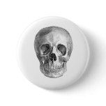 Frontal view drawing of a human skull pin