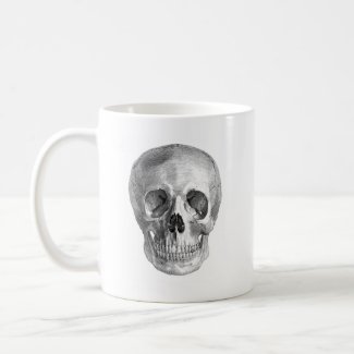 Frontal view drawing of a human skull mug
