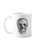 Frontal view drawing of a human skull mugs