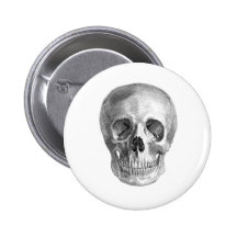 Frontal view drawing of a human skull pin
