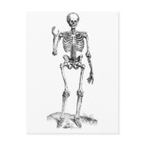 Frontal vintage drawing of a waving skeleton postcard