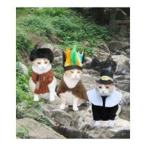 Frontier Cats posters