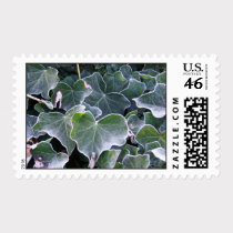 Frost Bite Postage postage