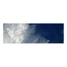 Frost Business Cards