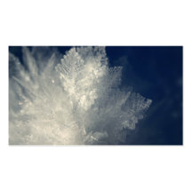 Frost Business Cards
