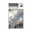 Frost Feathers postage by erin_kathleen Frost Feathers postage