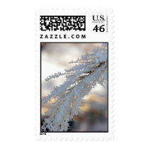 Frost Feathers postage