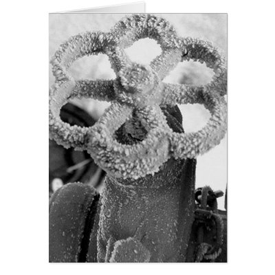 Frost Flower Card by grahamunderhill