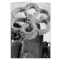 Frost Flower cards