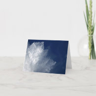 Frost Greeting Cards