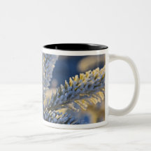 Frost on evergreen tree, Homer, Alaska Coffee Mug