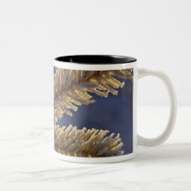 Frost on evergreen tree, Homer, Alaska Mugs