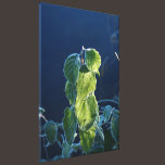 Frost On The Leaves canvas prints