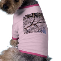 Frost On Tree Twig pet clothing