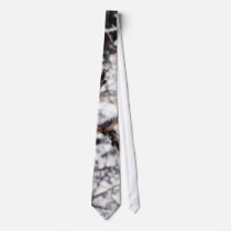 Frost On Tree Twig ties