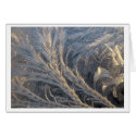 Frost Pattern 2 cards by Snowhawk Frost Pattern 2 cards