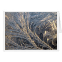Frost Pattern 2 cards