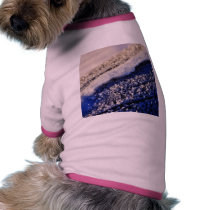 Frost Winter Ice pet clothing by lifesphere Frost Winter Ice pet clothing
