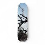 Frostbitten Twig Frosen Tree Skateboard Deck