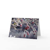Frosted Berries card cards