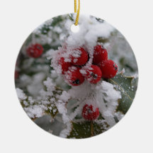 Frosted Holly Christmas Tree Ornament