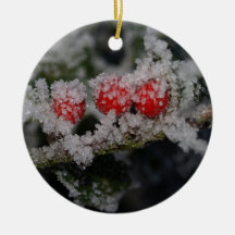 Frosted Holly Christmas Tree Ornament