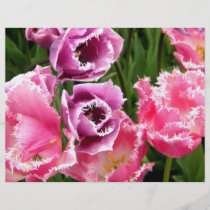 Frosted Ladies flyers