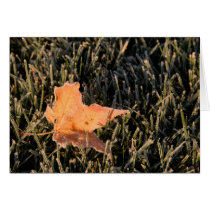 Frosted Leaf cards