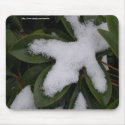 Frosted Leaves mousepad