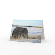 Frosty Bales Greeting Card