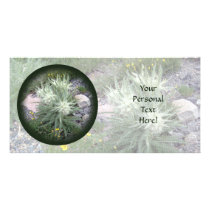 Frosty Ball: Alpine Wildflowers Photo Card Template
