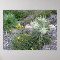 Frosty Ball: Alpine Wildflowers Posters