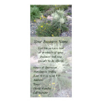 Frosty Ball: Alpine Wildflowers Full Color Rack Card