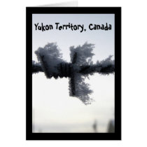 Frosty Barbed Wire; Yukon Territory, Canada Cards