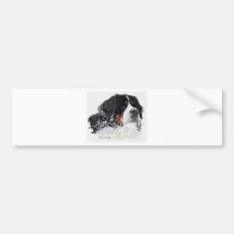 Frosty Bumper Sticker