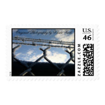 Frosty Fence Stamps