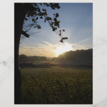 frosty fields full color flyer